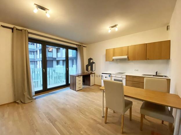 Pronájem bytu 1+kk, Praha - Žižkov, Olšanská, 35 m2