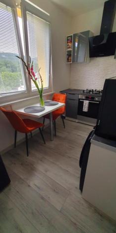 Prodej bytu 3+1, Jeseník, Halasova, 75 m2