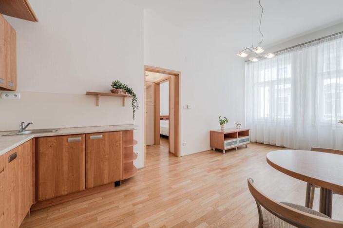 Prodej bytu 2+kk, Praha - Nové Město, Opatovická, 36 m2