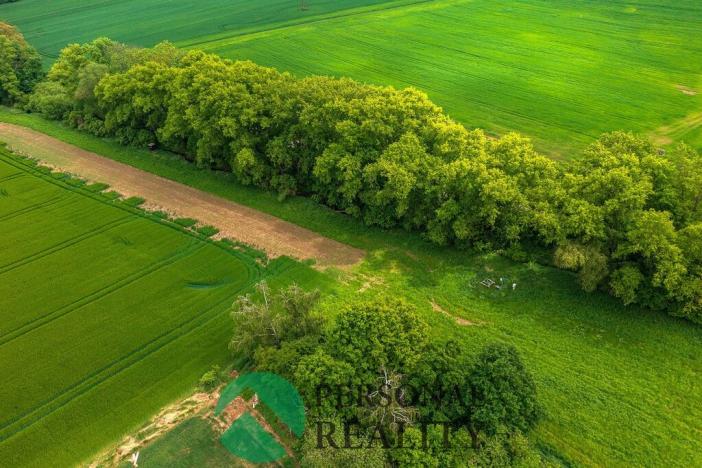 Prodej pozemku, Říčany, 1378 m2