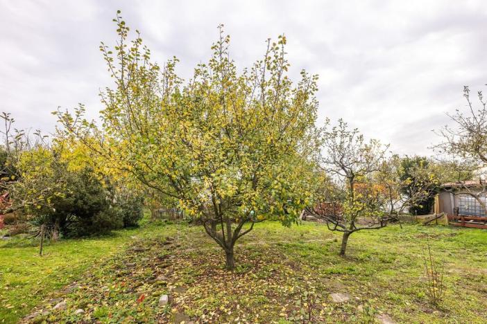 Prodej zahrady, Plzeň - Doubravka, 379 m2