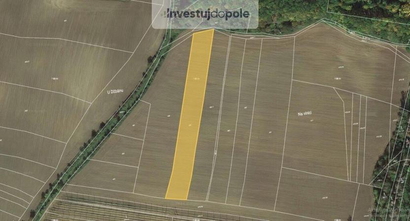 Prodej pole, Mutějovice, 6341 m2