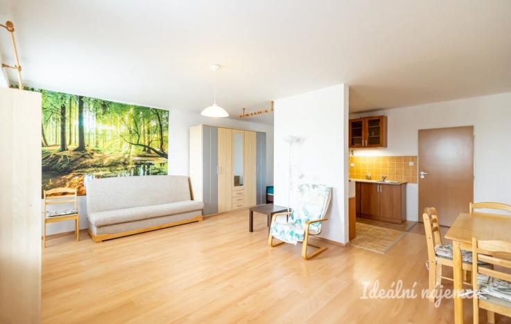 Pronájem bytu 1+kk, Šestajovice, Komenského, 47 m2