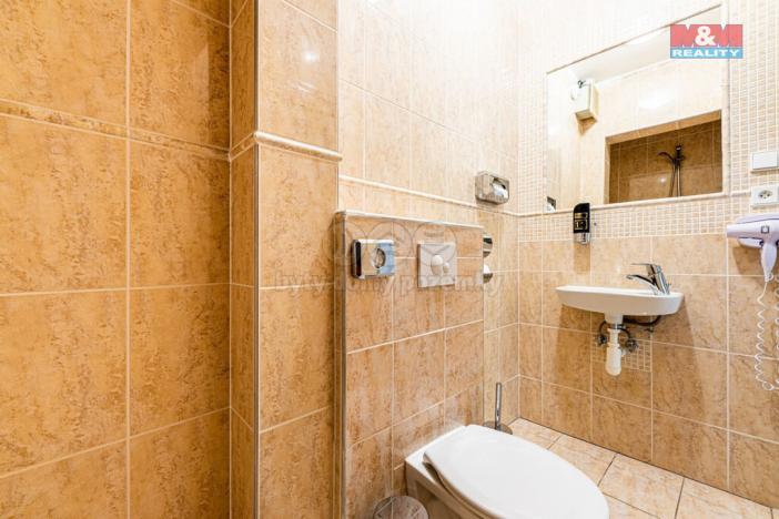 Pronájem bytu 2+kk, Plzeň - Vnitřní Město, Zbrojnická, 80 m2