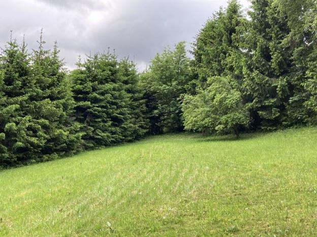 Prodej pozemku pro bydlení, Sušice, 634 m2