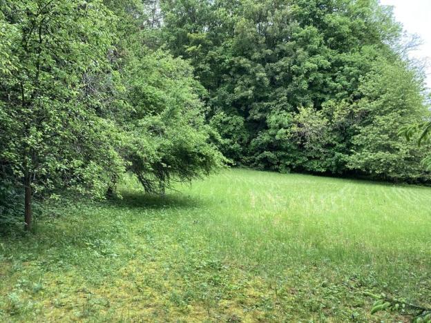 Prodej pozemku pro bydlení, Sušice, Pod Kalichem, 650 m2