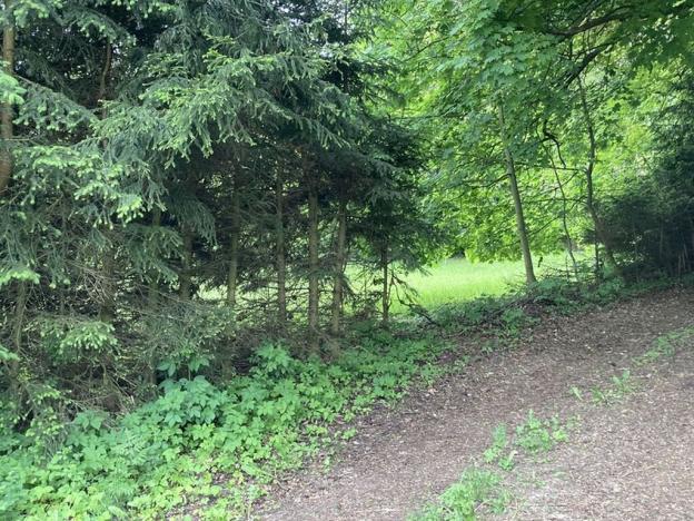 Prodej pozemku pro bydlení, Sušice, Pod Kalichem, 650 m2