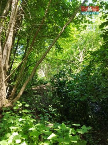 Prodej komerčního pozemku, Višňová, 6807 m2