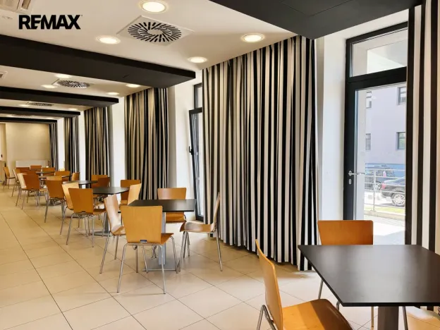 Pronájem restaurace, Písek - Pražské Předměstí, Vladislavova, 362 m2