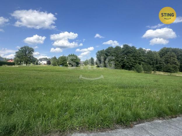 Prodej pozemku pro bydlení, Albrechtice, 4278 m2