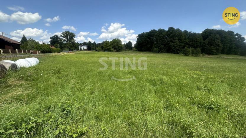 Prodej pozemku pro bydlení, Albrechtice, 4278 m2