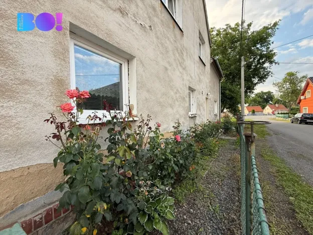 Prodej rodinného domu, Velké Albrechtice, 300 m2