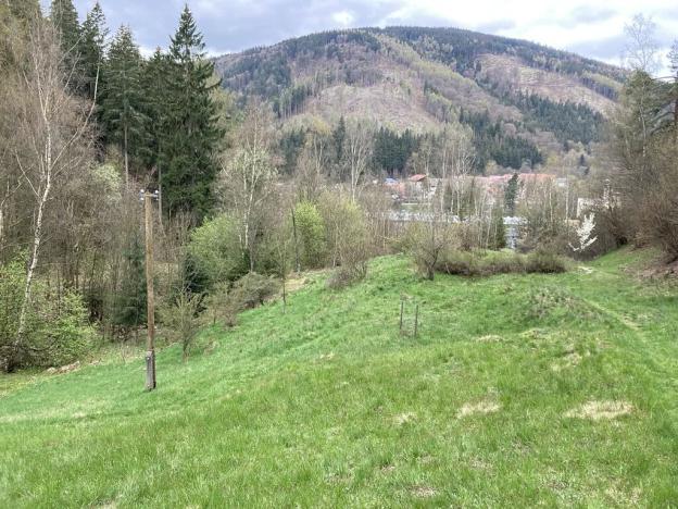 Prodej pozemku pro bydlení, Merklín, 7289 m2