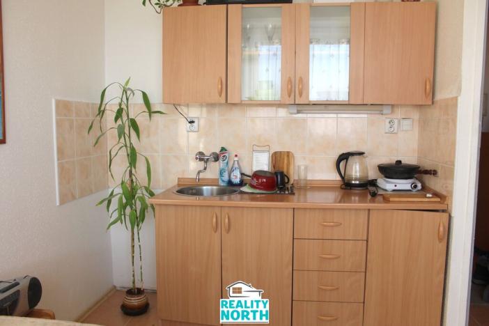 Pronájem bytu 1+kk, Ústí nad Labem, SNP, 22 m2