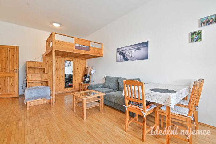 Pronájem bytu 1+kk, Brno - Štýřice, Celní, 32 m2
