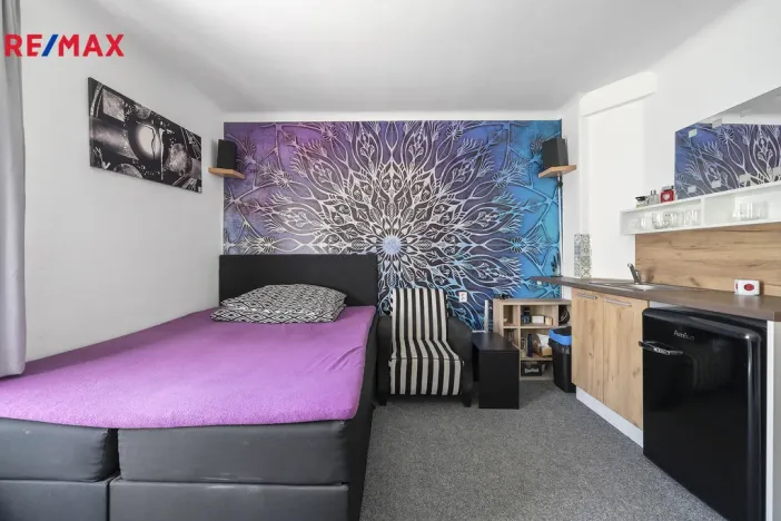 Prodej ubytování, Janské Lázně, Krkonošská, 339 m2