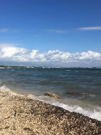 Prodej bytu 2+kk, Vír, 70 m2