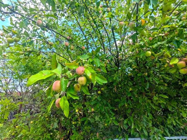 Prodej chaty, Teplice, Bratislavská, 30 m2