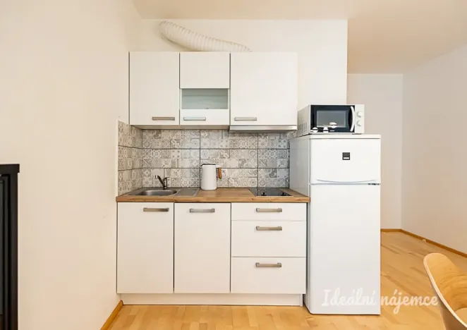 Pronájem bytu 2+kk, Praha - Žižkov, Olšanská, 69 m2