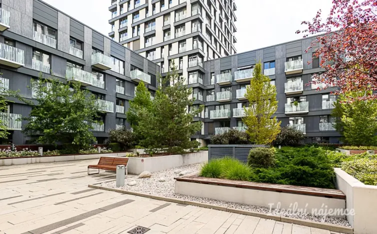 Pronájem bytu 2+kk, Praha - Žižkov, Olšanská, 69 m2