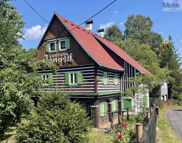 Prodej chalupy, Labská Stráň, 180 m2