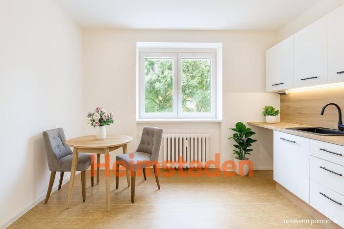 Pronájem bytu 1+1, Havířov - Šumbark, Opletalova, 28 m2