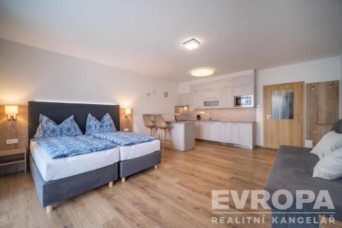 Prodej bytu 1+kk, Lipno nad Vltavou, 42 m2