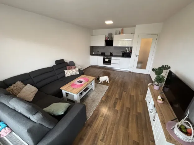 Pronájem bytu 2+kk, Hradec Králové, Václavkova, 54 m2