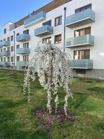 Prodej bytu 4+kk, Olomouc, Třída Jiřího Pelikána, 95 m2