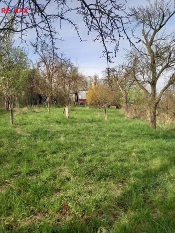 Prodej zahrady, Bořenovice, 1323 m2