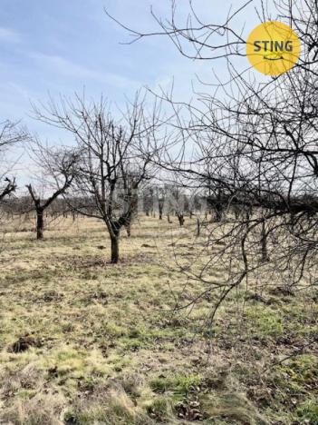 Prodej sadu/vinice, Lužice, 3829 m2