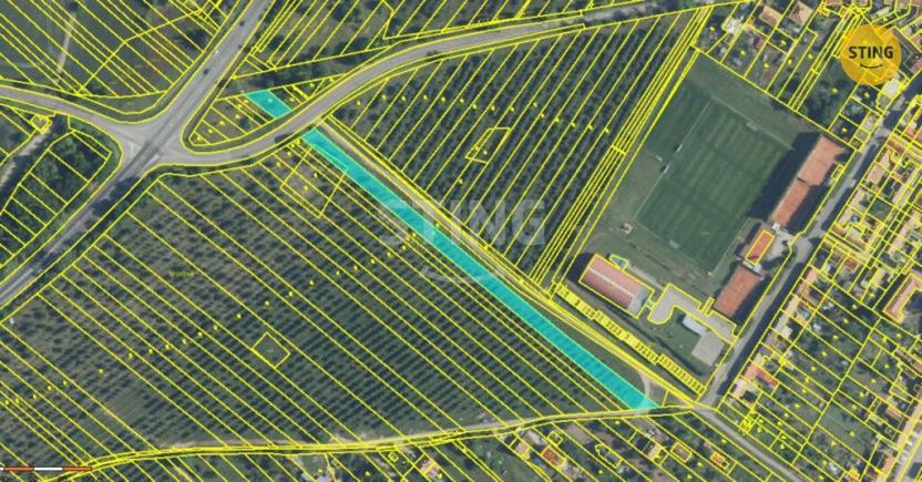 Prodej sadu/vinice, Lužice, 3829 m2