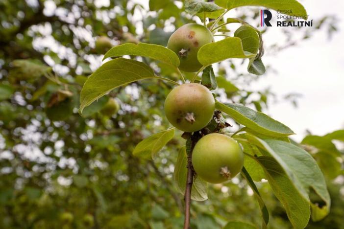 Prodej pozemku pro bydlení, Krásný Dvůr, 884 m2