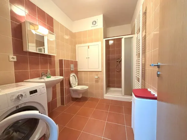 Pronájem bytu 1+kk, Plzeň - Jižní Předměstí, Goldscheiderova, 30 m2