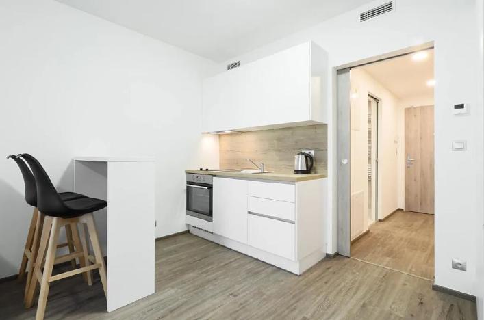Pronájem bytu 1+kk, Praha - Libeň, Kurta Konráda, 39 m2