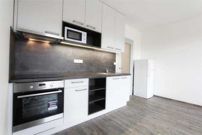 Pronájem bytu 1+kk, Brno, třída Generála Píky, 28 m2