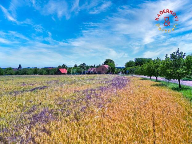 Prodej pozemku pro bydlení, Letovice, 3300 m2