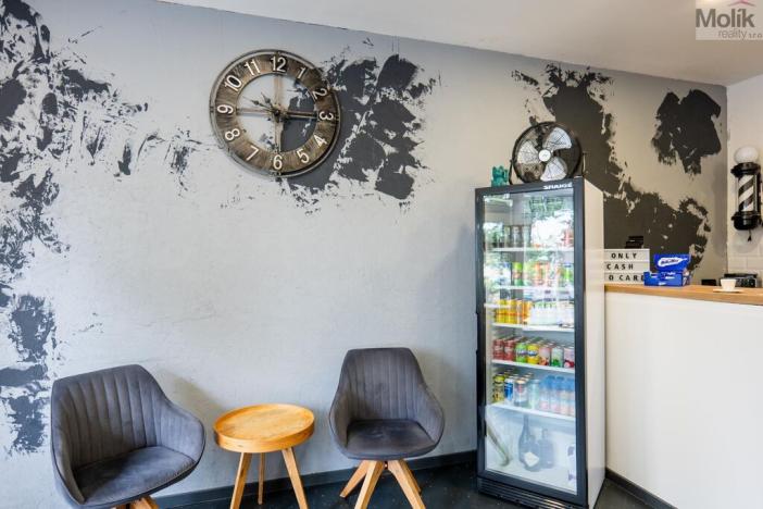 Prodej rodinného domu, Litvínov - Horní Litvínov, Smetanova, 359 m2