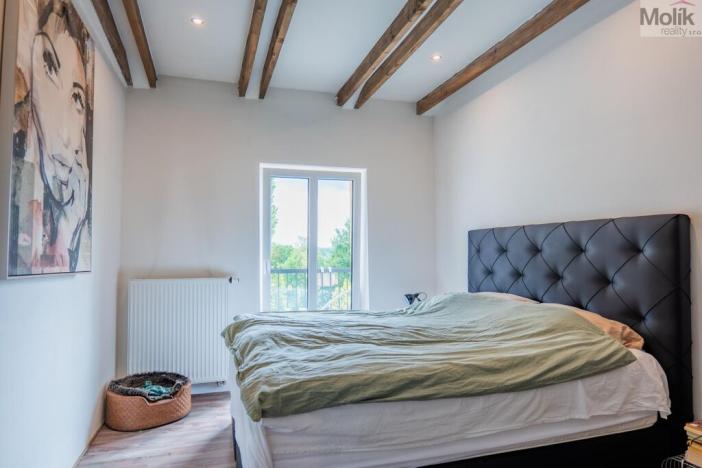 Prodej obchodního prostoru, Litvínov - Horní Litvínov, Smetanova, 359 m2