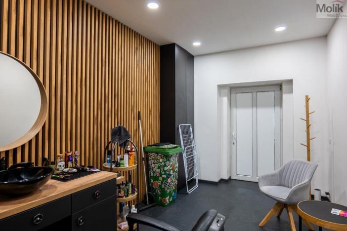 Prodej obchodního prostoru, Litvínov - Horní Litvínov, Smetanova, 359 m2