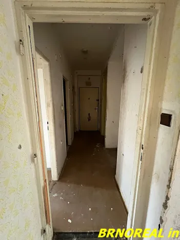 Prodej bytu 2+1, Brno, Svatopluka Čecha, 58 m2