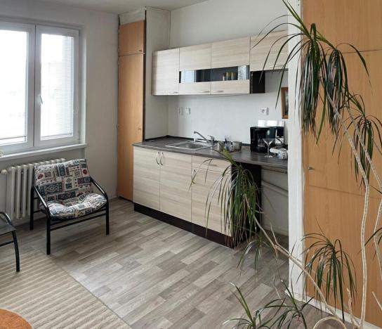 Pronájem bytu 1+kk, Ostrava - Zábřeh, Jugoslávská, 26 m2