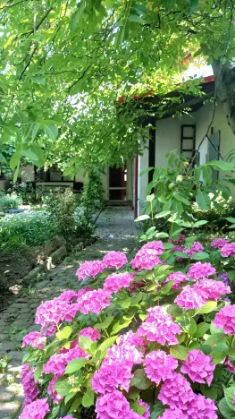 Prodej rodinného domu, Křepice, 183 m2