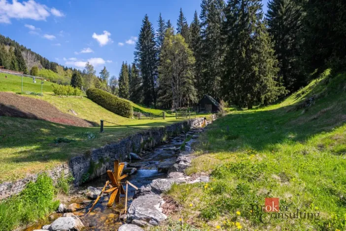 Prodej ubytování, Malá Úpa - Dolní Malá Úpa, 528 m2