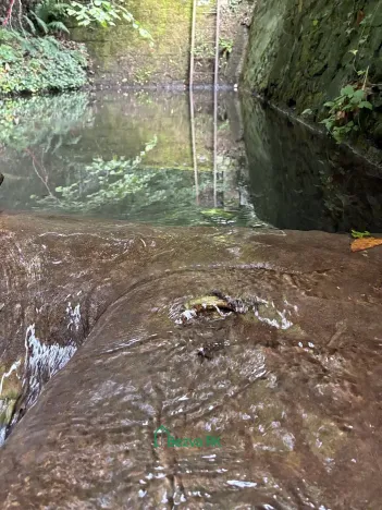 Prodej rodinného domu, Praha - Malá Chuchle, V lázních, 177 m2