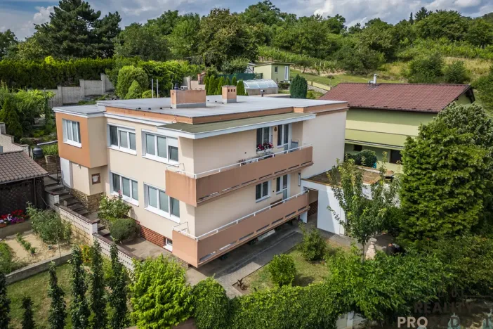 Prodej rodinného domu, Bzenec, Slunečná, 420 m2