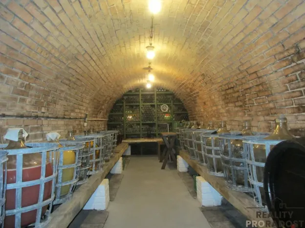 Prodej rodinného domu, Bzenec, Slunečná, 420 m2