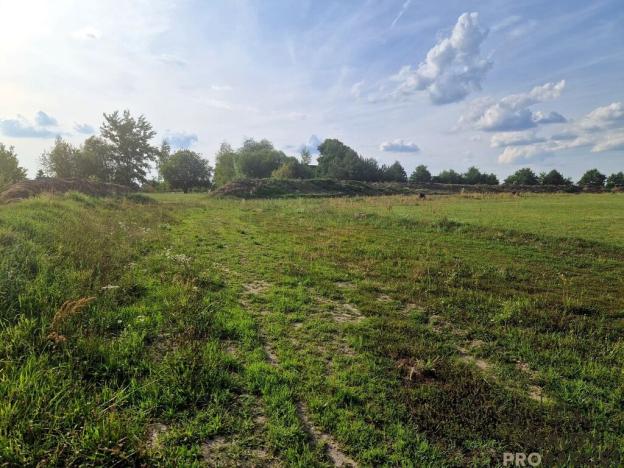 Prodej komerčního pozemku, Bakov nad Jizerou, 39262 m2