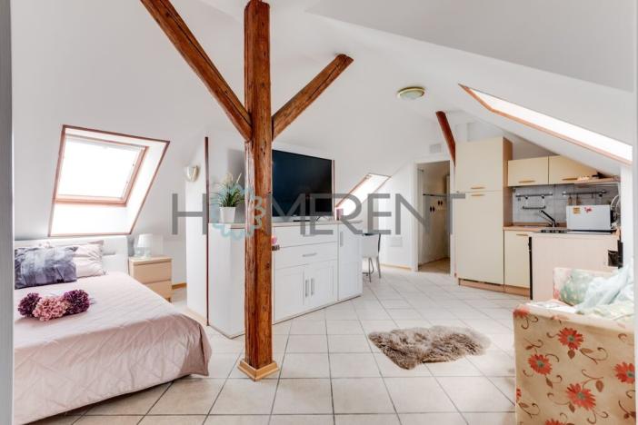 Pronájem bytu 1+kk, Praha - Bubeneč, U akademie, 39 m2