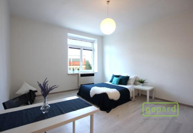 Pronájem bytu 1+kk, Brno - Zábrdovice, Zábrdovická, 30 m2